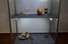 Wystawa Latające Klejnoty. Minerały i owady Fot. A. Bożek