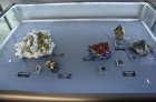 Wystawa Latające Klejnoty. Minerały i owady Fot. A. Bożek